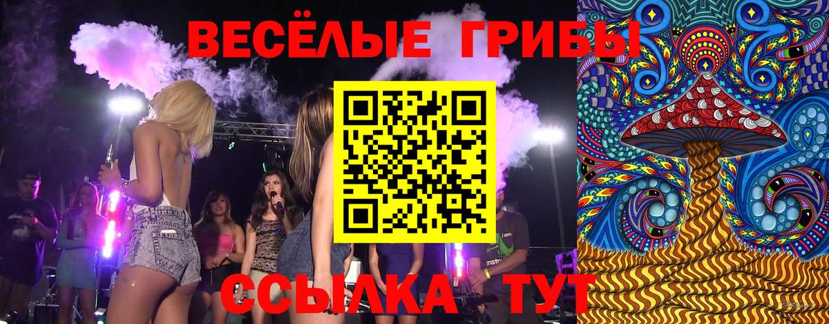 Псилоцибиновые грибы MAGIC MUSHROOMS  Вход с VPN  Псилоцибиновые грибы прущие грибы  Лесосибирск 